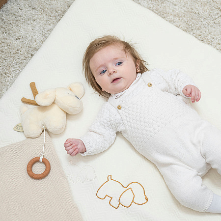 Игрушка мягкая Nattou Musical Soft toy MINI CHARLIE Собачка vanilla музыкальная 388054